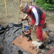 S příchodem jara jsme opět stříhali ovečky... - Stříhání shetlandských ovcí 