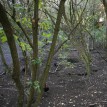 Podzim 2012 v sadu - 