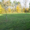 Barevný podzim v sadu - Podzim v Toušeňské zahradě rozhodně není smutný... 