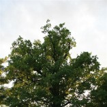 Chvíle na přírodě - ...ani zblízka ne 