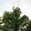 Chvíle na přírodě - Teď to bude chvíli na přírodě, my budeme čekat, pravidelně...